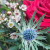 Floral arrangement with red roses and greenery including a thistle plant.