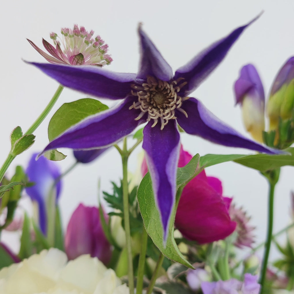 Delicate Spring bunch