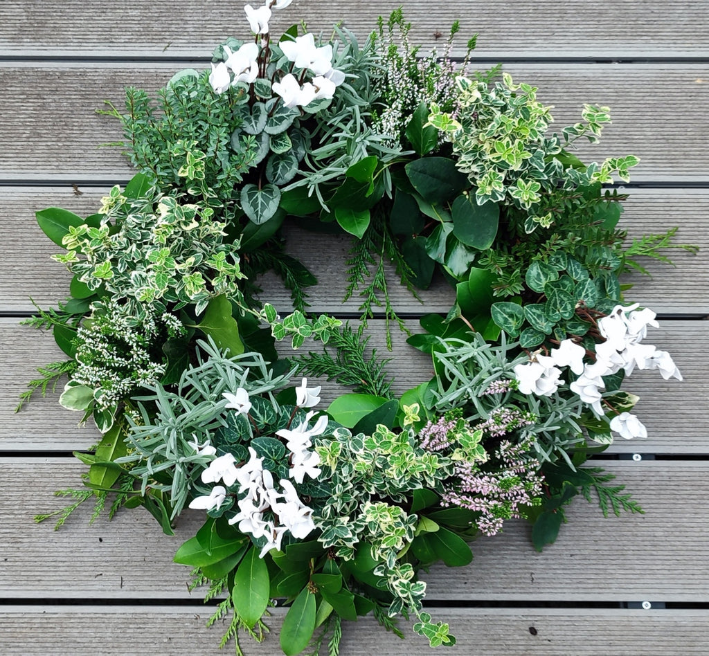 Living Wreath