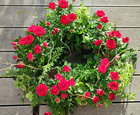 Living Wreath
