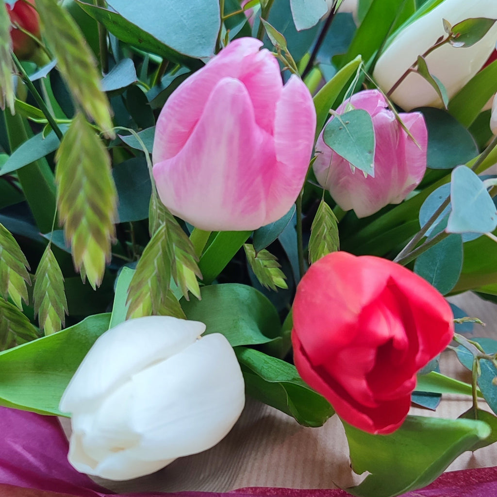 For the love of tulips