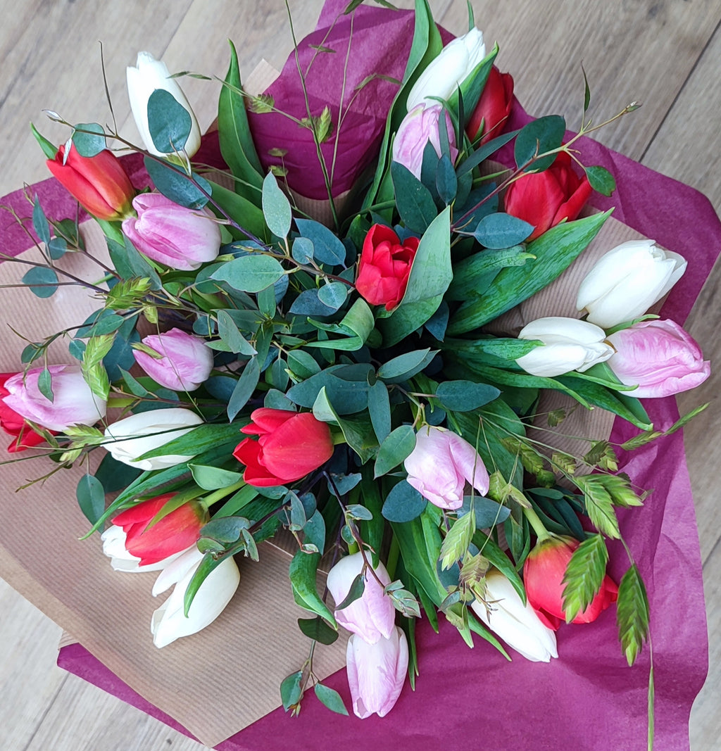 For the love of tulips